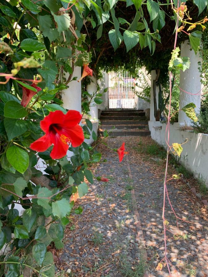 Casa Diana Arianna Διαμέρισμα Λίπαρι Εξωτερικό φωτογραφία